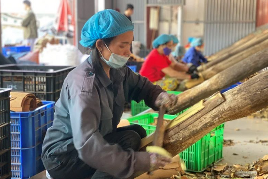 Kiên định mục tiêu giảm nghèo đa chiều, bền vững