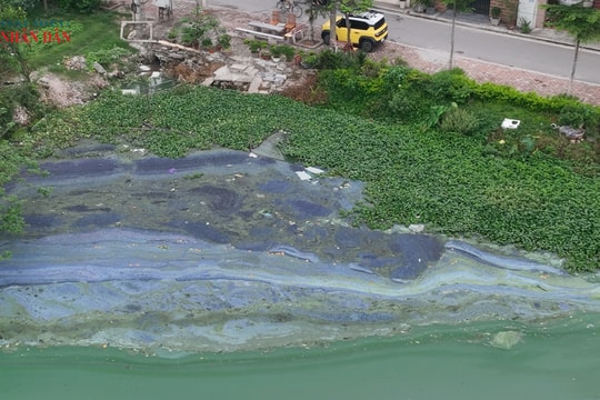 Hà Nội: Lò mổ lợn, các hộ chế biến thực phẩm "bức tử" ao hồ công cộng, gây ô nhiễm nặng nề