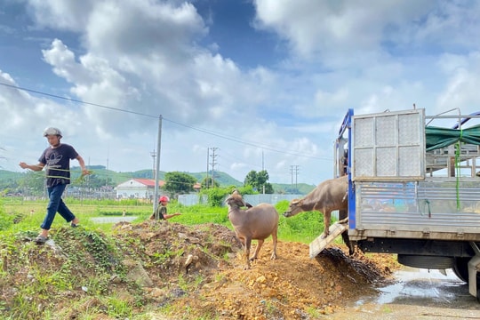 Nâng cao trình độ sản xuất cho người dân