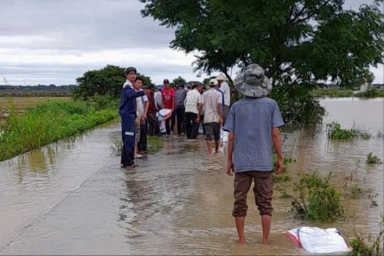 Quảng Trị: 500 ha diện tích lúa và hoa màu bị ngập úng