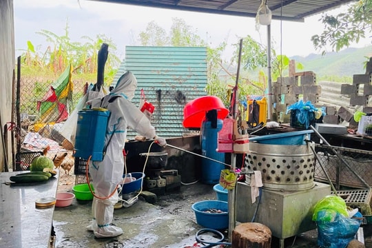 Tăng cường triển khai biện pháp ứng phó dịch bệnh trong mùa mưa bão