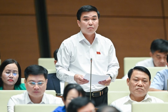 Dự thảo Luật Việc làm (sửa đổi): Giải quyết việc làm bền vững ở khu vực nông thôn và miền núi