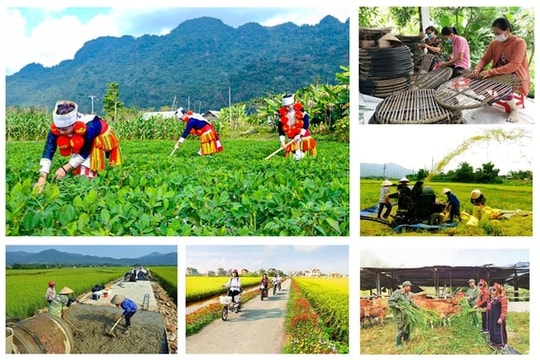 Tích hợp để tối ưu hóa nguồn lực