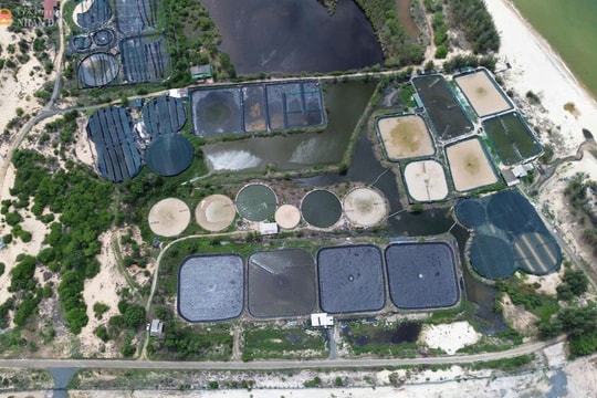 "Lùm xùm" tại Dự án KCN Sơn Mỹ I Bình Thuận: Bồi thường tài sản trên đất điều chỉnh trong 13 năm qua thế nào?