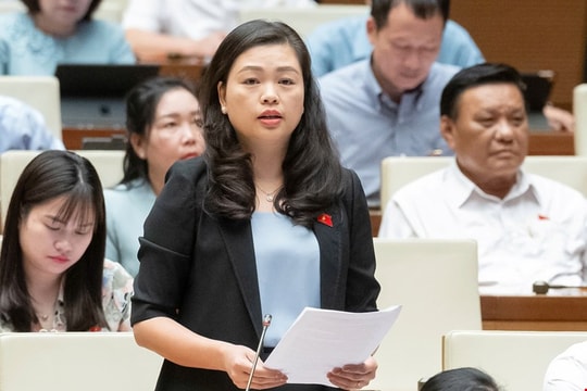 Đại biểu Quốc hội Đoàn Thị Lê An: “Miễn học phí cần tính toán tới các khu vực đặc thù”