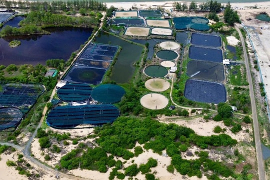 TAND tỉnh Bình Thuận thụ lý vụ khởi kiện bị thu hồi 8,7ha đất nuôi trồng thuỷ sản nhưng nhận bồi thường về đất 0 đồng