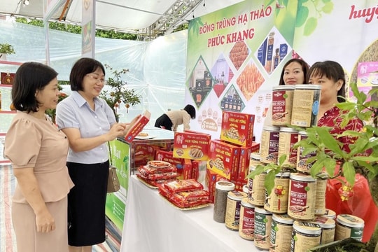 Nam Định: Phát triển bền vững sản phẩm OCOP