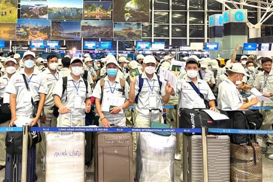 Nhiều doanh nghiệp xuất khẩu lao động bị xử phạt