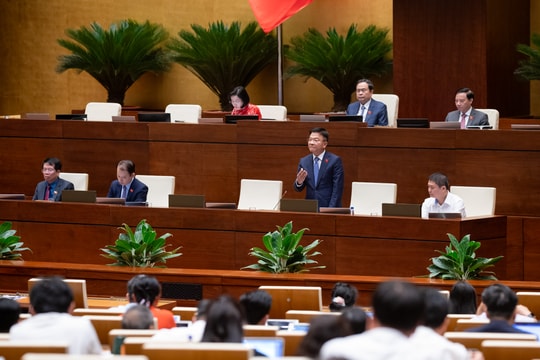 Đánh giá kỹ việc bỏ hình phạt tử hình với một số tội danh