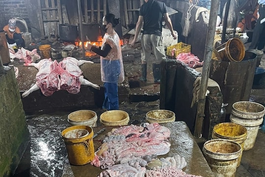 Hà Nam: Phát hiện gần 3 tấn thịt lợn dương tính với virus dịch tả lợn châu Phi