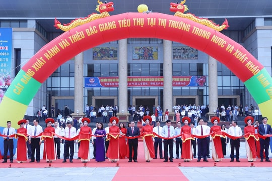 Phó Chủ tịch Quốc hội Nguyễn Đức Hải: Tạo hành lang pháp lý thuận lợi cho nông nghiệp xuất khẩu