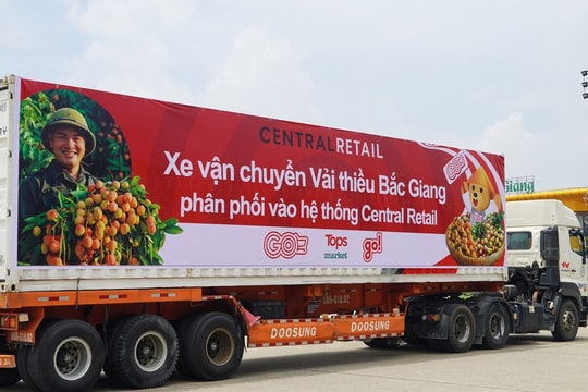 Đưa vải thiều Bắc Giang vào hệ thống phân phối của Central Retail trên toàn quốc