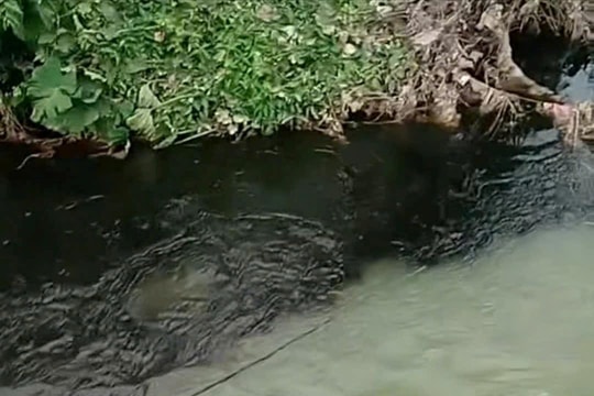 Người dân bất an về dòng nước đen kịt chảy ra từ Nhà máy xử lý rác Phú Hà