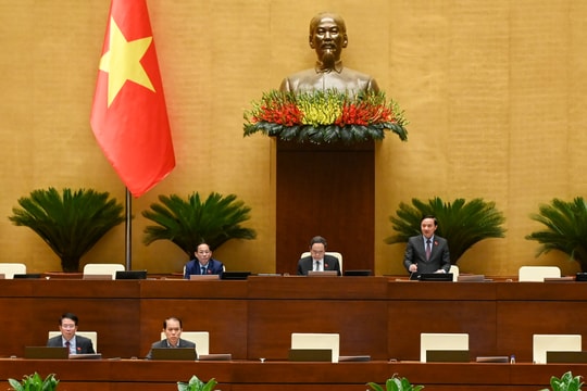 Thống nhất trong giấy tờ chứng minh quốc tịch Việt Nam