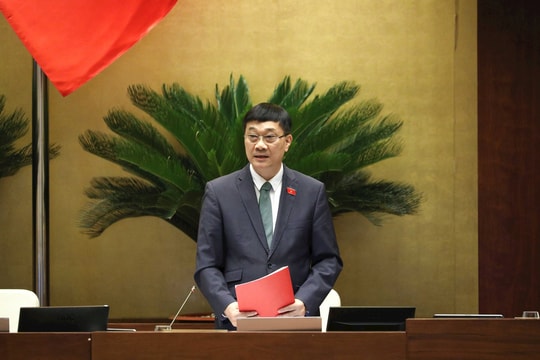 Làm rõ tiêu chí, quy trình, thủ tục, quy mô của khoản vay đặc biệt