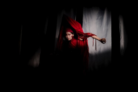 Di sản qua lăng kính sân khấu đa ngành