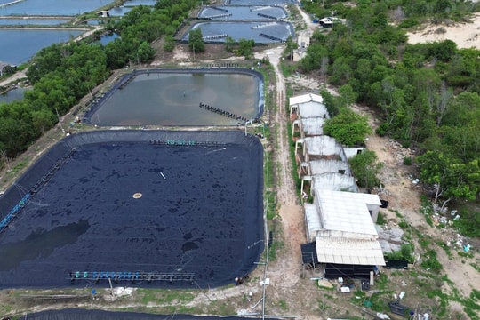 "Lùm xùm" tại KCN Sơn Mỹ I Bình Thuận: Cần phân định rõ nguồn gốc đất, kiểm kê thực địa