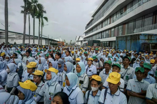 Indonesia to set up layoff task force