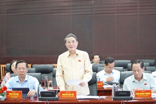 Nhiều đề xuất cơ chế đặc thù cho Đà Nẵng phát triển Khu thương mại tự do và Trung tâm tài chính quốc tế