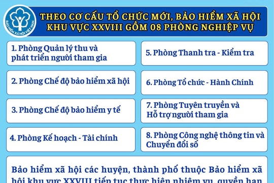 Bảo hiểm xã hội khu vực XXVIII có 8 phòng nghiệp vụ