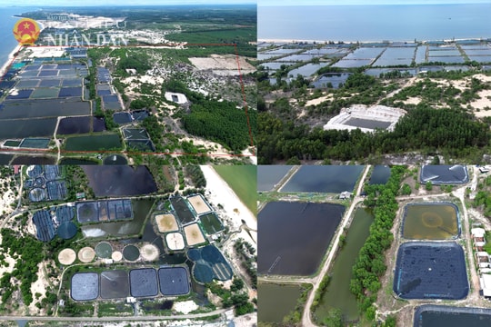 "Lùm xùm" tại KCN Sơn Mỹ I Bình Thuận: Cần giải quyết hợp tình, hợp lý vụ thu hồi 61ha đất nuôi trồng thủy sản, bồi thường về đất 0 đồng