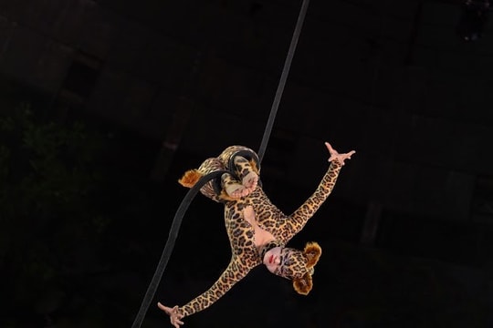 Việt Nam đoạt Vương miện đồng Liên hoan Xiếc quốc tế tại Nga