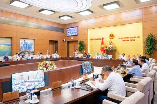 Bỏ quy định "sinh một hoặc hai con"