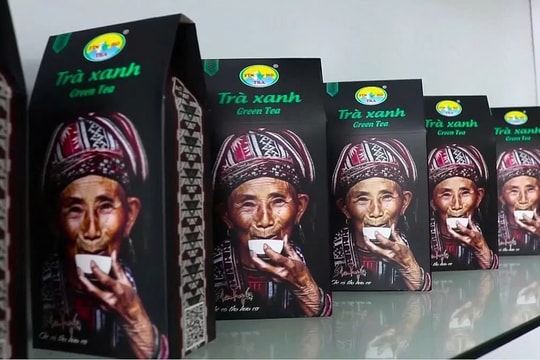 Nâng tầm thương hiệu Fìn Hò Trà của người Dao đỏ Hà Giang