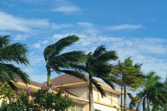 Xuất hiện gió Lào mạnh bất thường, cơ quan chức năng phải phát cảnh báo thiên tai tại Quảng Trị