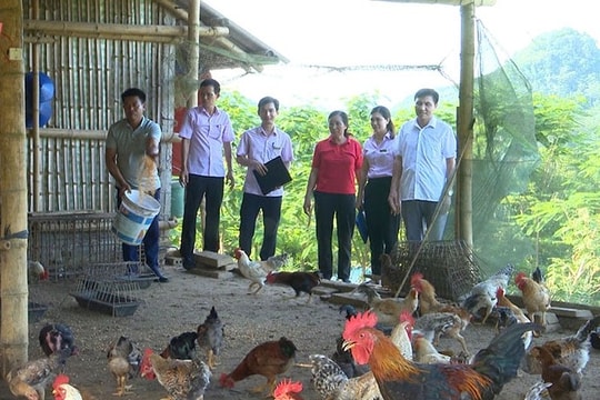 Cách làm hay của Bá Thước