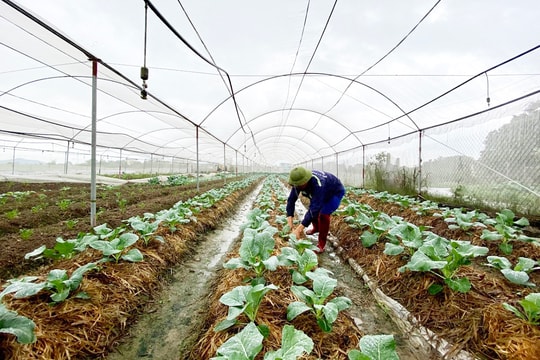 Nam Định: Đổi mới, sáng tạo trong sản xuất, kinh doanh