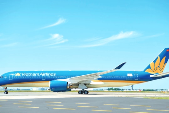 Cánh tay nối dài đưa Việt Nam vươn tầm quốc tế