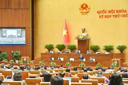 Trị tội “ông đấu thầu”