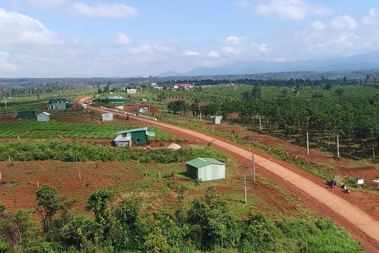 Lời giải cho bài toán ổn định dân di cư tự do