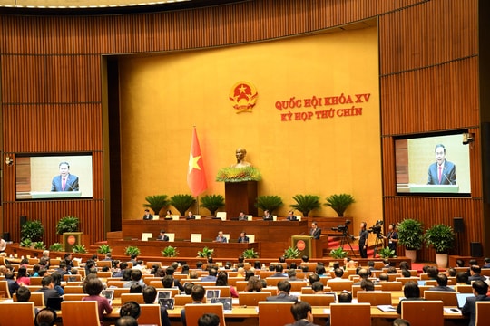 Nền tảng để phát triển bền vững