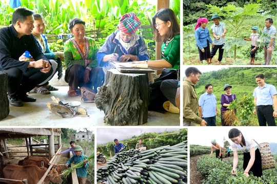 Thành lập Ban Chỉ đạo Trung ương các chương trình mục tiêu quốc gia giai đoạn 2021 - 2025