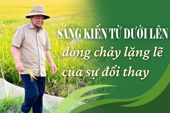 Sáng kiến từ dưới lên – dòng chảy lặng lẽ của sự đổi thay