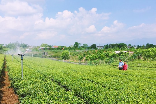 Sức sống mới từ một nghị quyết