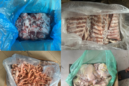 Phát hiện 4 tấn thực phẩm đông lạnh nhập lậu nước ngoài tại một kho hàng ở Quảng Bình