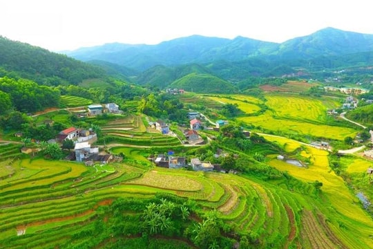 Bảo đảm chính sách dân tộc áp dụng có địa chỉ, đúng đối tượng