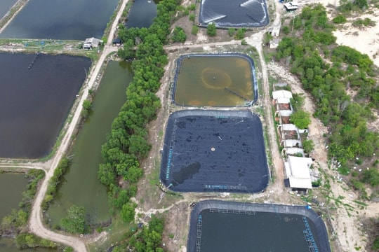 Bình Thuận: Nhiều đơn vị chưa thống nhất mức đền bù đất tại Dự án KCN Sơn Mỹ I