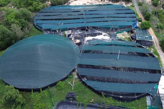 Bình Thuận: Cận cảnh hai khu đất của Công ty Đại Thanh và Công ty Đại Thuận Phát bị bồi thường 0 đồng về đất