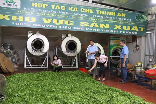 Trụ cột giảm nghèo của Thái Nguyên