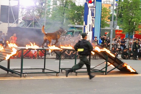 Cảnh khuyển biểu diễn vượt tường lửa, trấn áp tội phạm tại TP. Hồ Chí Minh