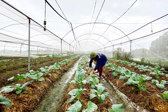 Quy hoạch không gian nông thôn mới văn minh, hiện đại