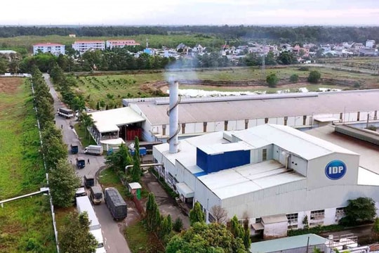 Doanh nghiệp có bà chủ của Phê La, Katinat làm thành viên HĐQT muốn vay nghìn tỷ từ ngân hàng