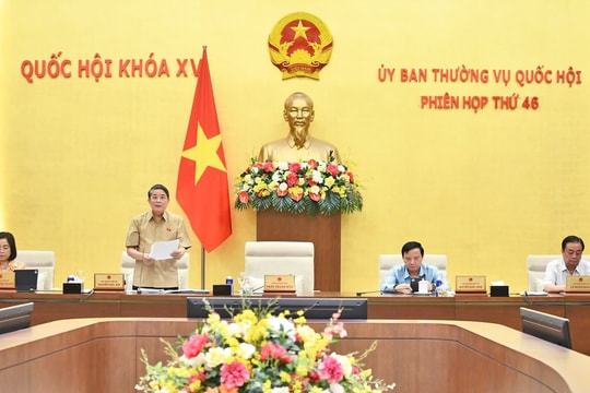 Phân cấp quản lý nguồn tăng thu cho Chính phủ: Cần tuân thủ nguyên tắc thẩm quyền ngân sách