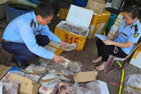 Quảng Trị: Tăng cường kiểm tra hoạt động giết mổ, vận chuyển động vật