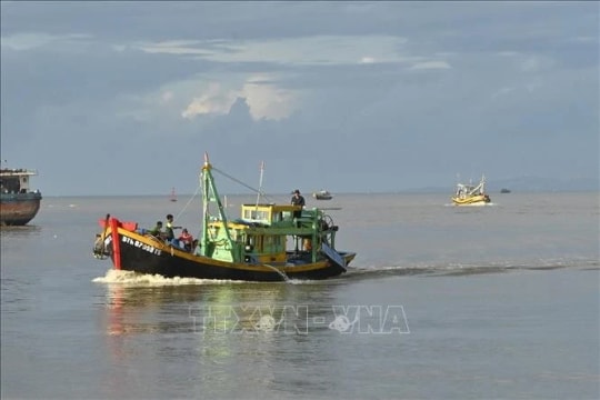Binh Thuan launches intensive campaign to combat IUU fishing
