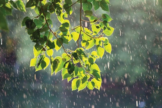 Dự báo thời tiết ngày 10/6: Mưa dông trên cả nước